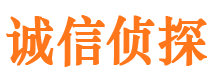 船营市调查公司